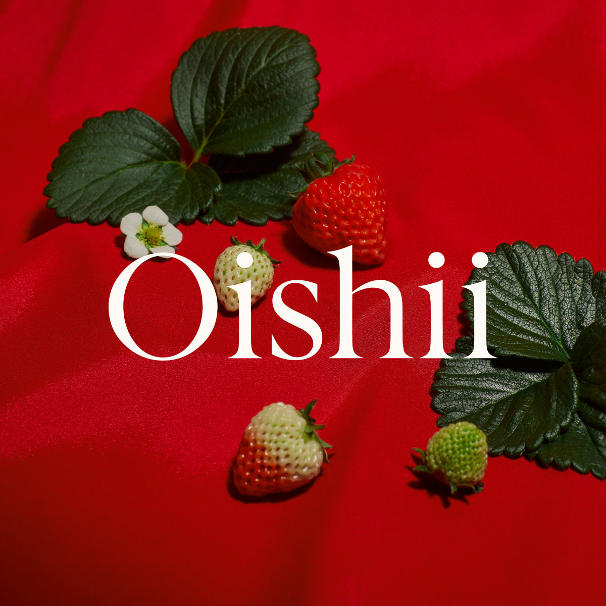 Oishii Farm